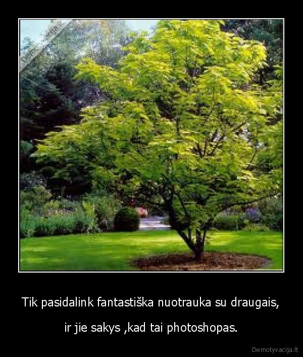 Tik pasidalink fantastiška nuotrauka su draugais,