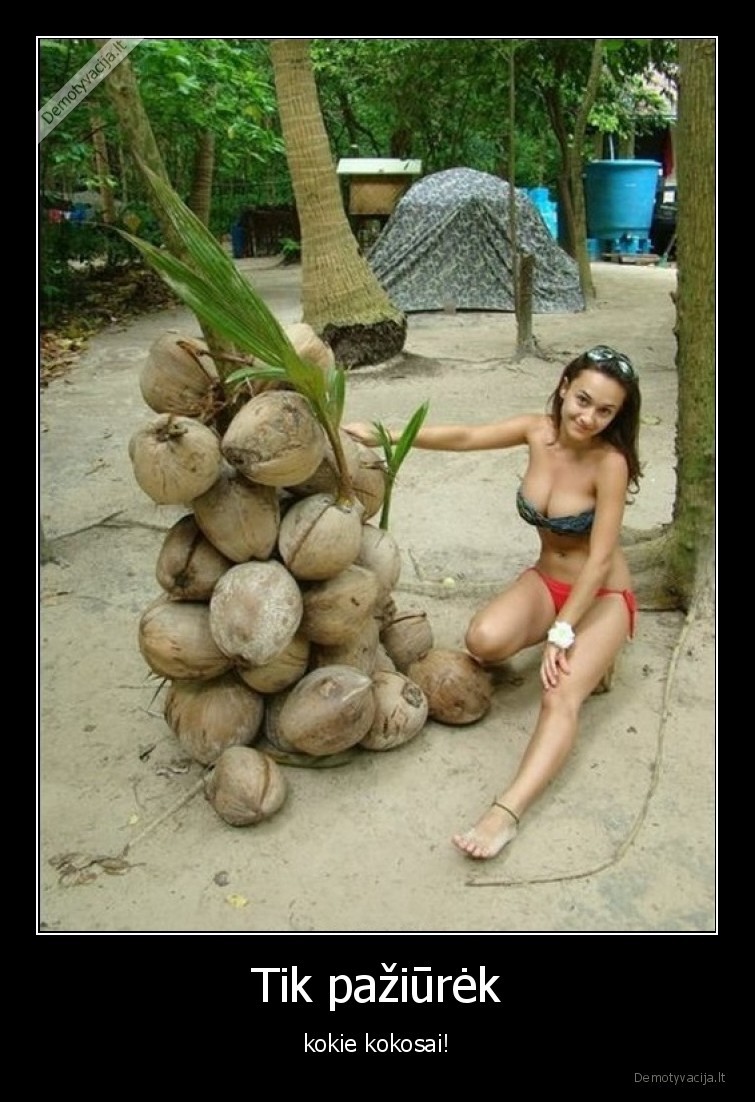 kokosai,papai,mergina