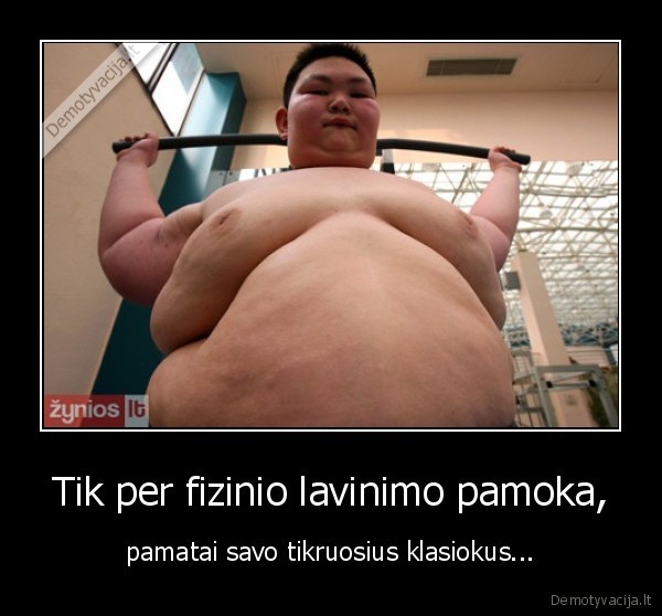 guli, dvi, silkes, ypac, kairioji