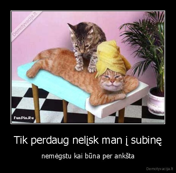 Tik perdaug nelįsk man į subinę