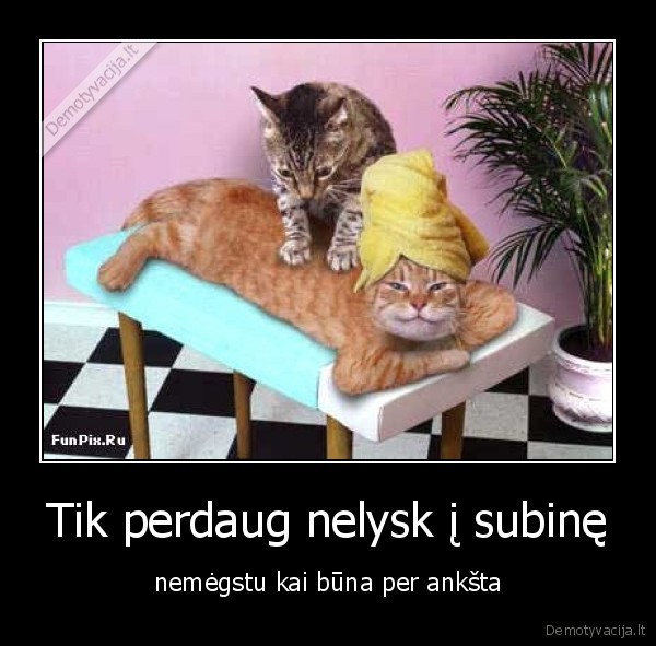 zoliapjuve,verslas,kubilius,kubilas