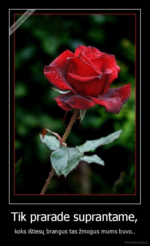 pasakykime, visiems, myliu,kad, nisigailetume, jiems, isejus