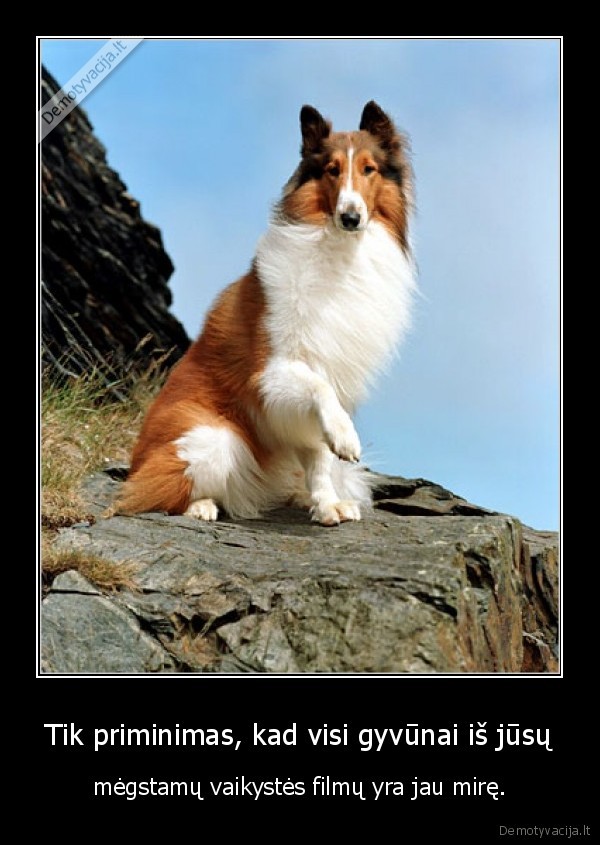 priminimas,vaikyste,filmai,gyvunai
