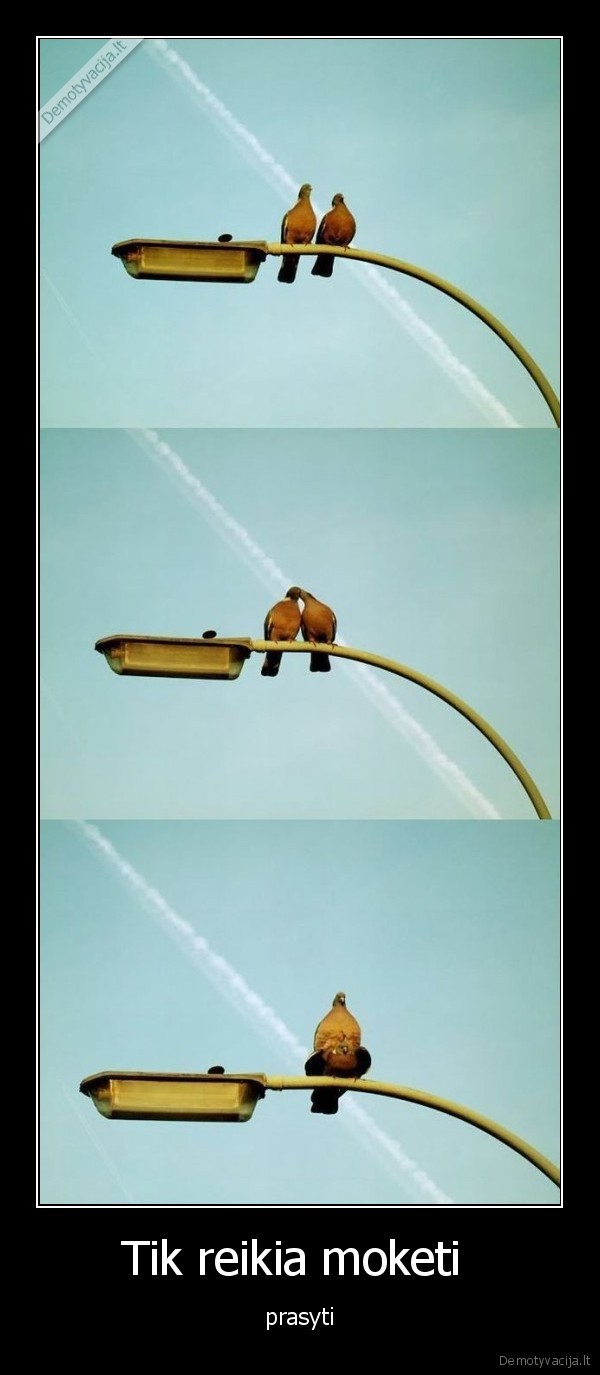 Tik reikia moketi 