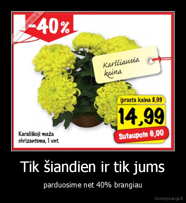 Tik šiandien ir tik jums