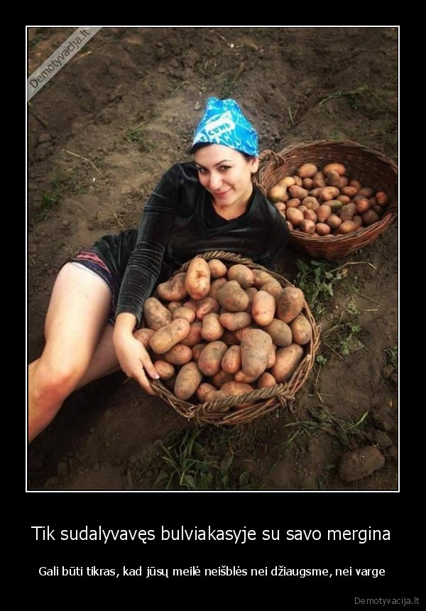 bulviakasis,kasa, bulves