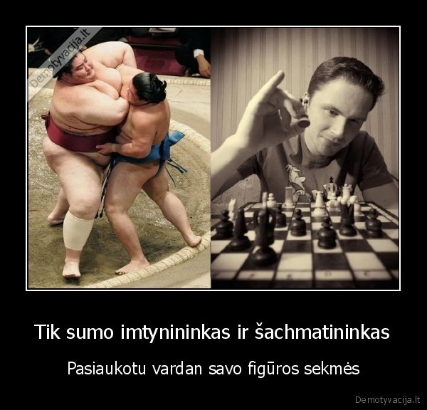 Tik sumo imtynininkas ir šachmatininkas