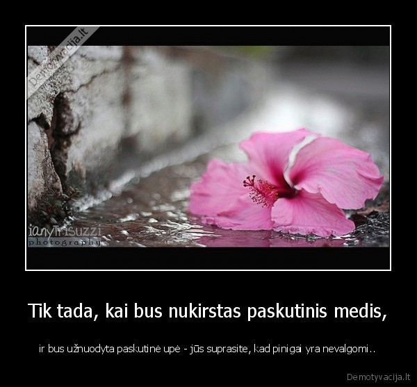 gamta,zmones,mastymas