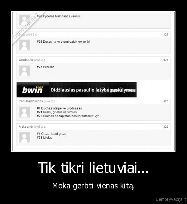 lietuviai,pagarba,komentarai