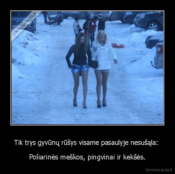 virsui, vakumas, apacioj, kibiras