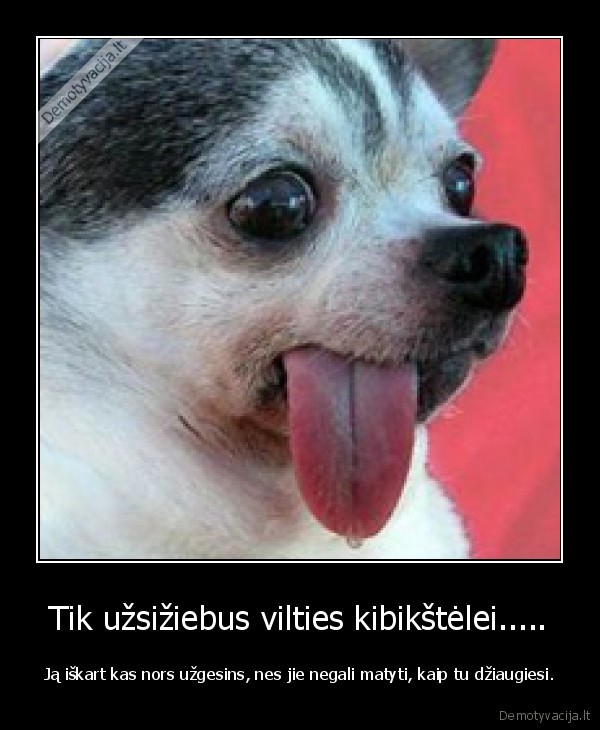 Tik užsižiebus vilties kibikštėlei.....