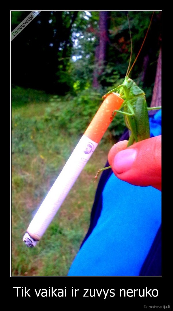 Tik vaikai ir zuvys neruko