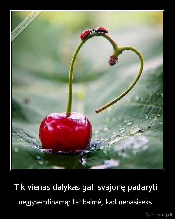 Tik vienas dalykas gali svajonę padaryti 