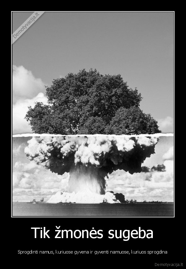 zmones,zmonija,namai,gamta,medis,bomba,absurdas