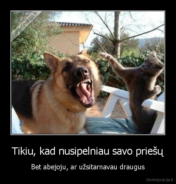 Tikiu, kad nusipelniau savo priešų