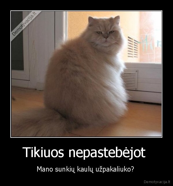 Tikiuos nepastebėjot 