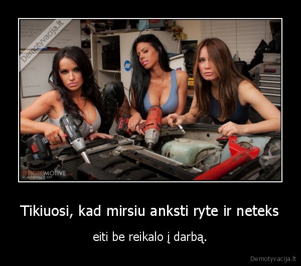 mirtis,rytas,darbas
