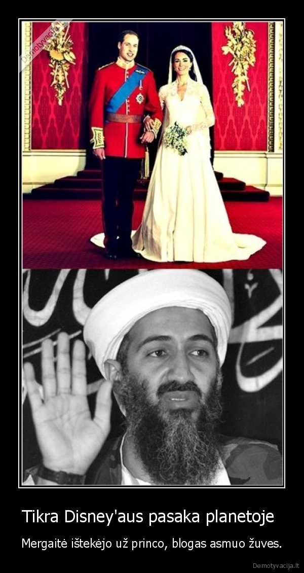 disney,bin, laden,princas