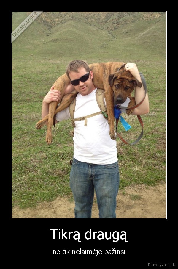 Tikrą draugą