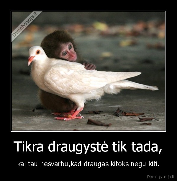 Tikra draugystė tik tada,