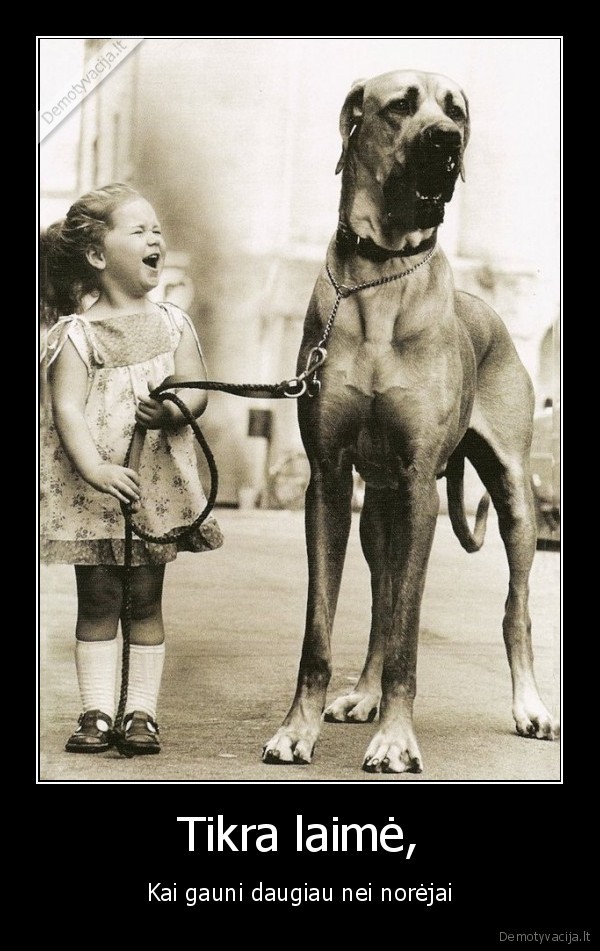 norejau, suniuko,gavau, suni