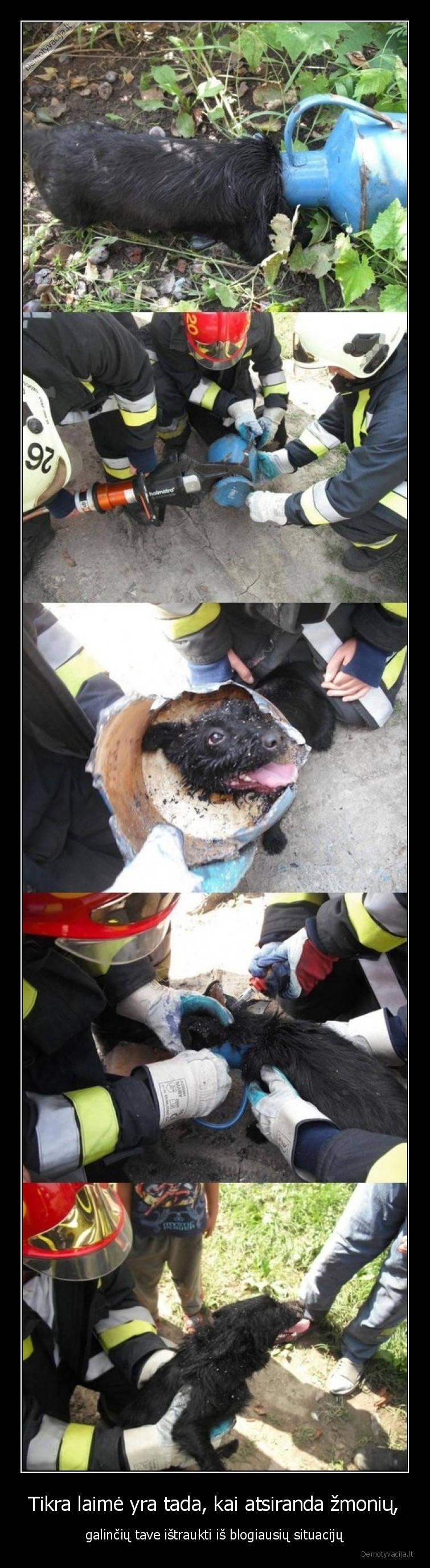 laime,suo,isgelbeti,pagalba