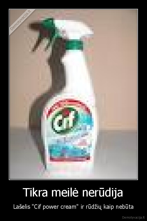 Tikra meilė nerūdija