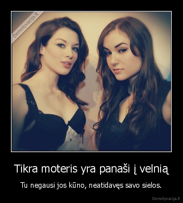 sasha, grey,velnias