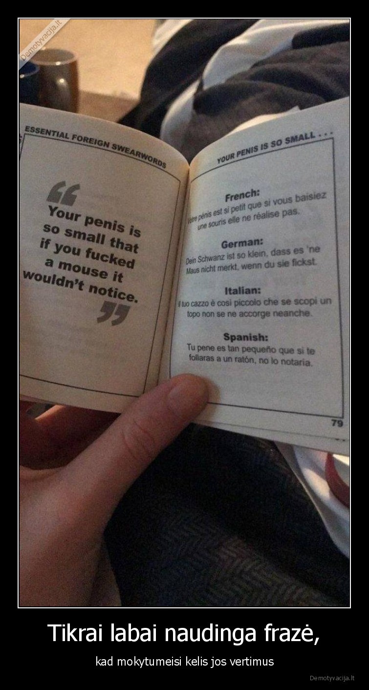 fraze,vertimai,uzrasai