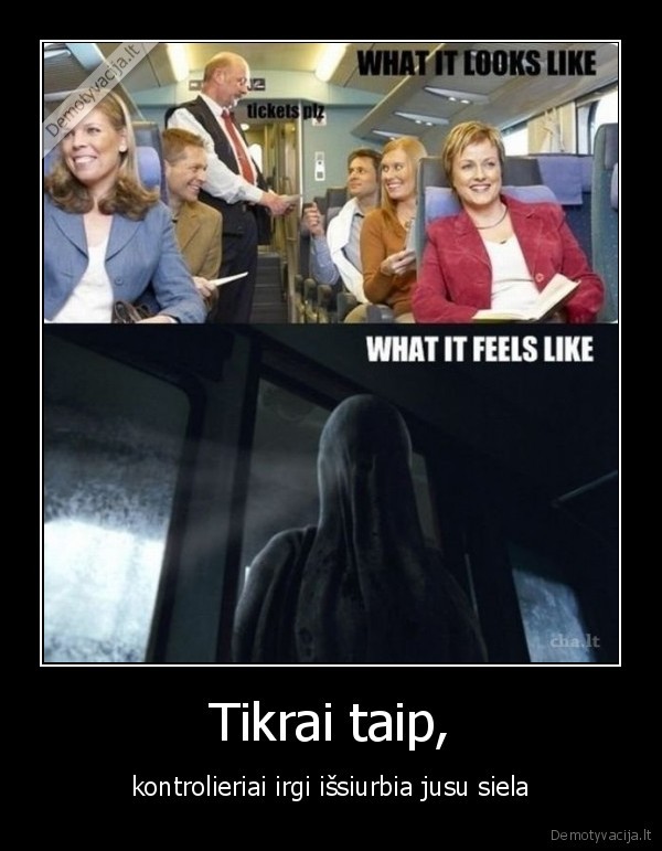 harry, potter, the, autobus, edition