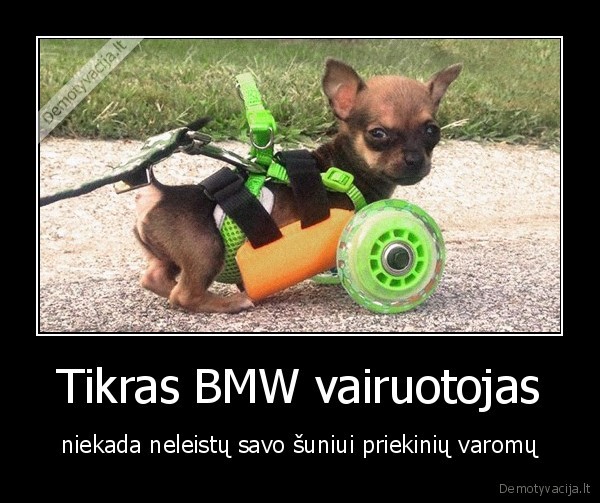 bmw,galiniai, varomi,priekiniaitikletapedziams,meile,zimis