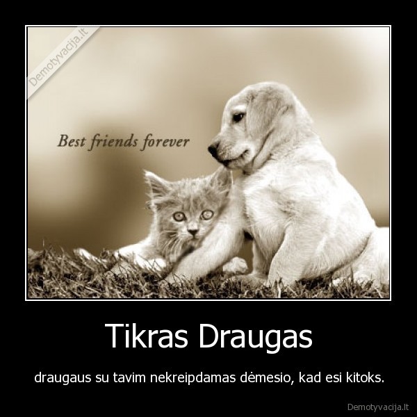 Tikras Draugas