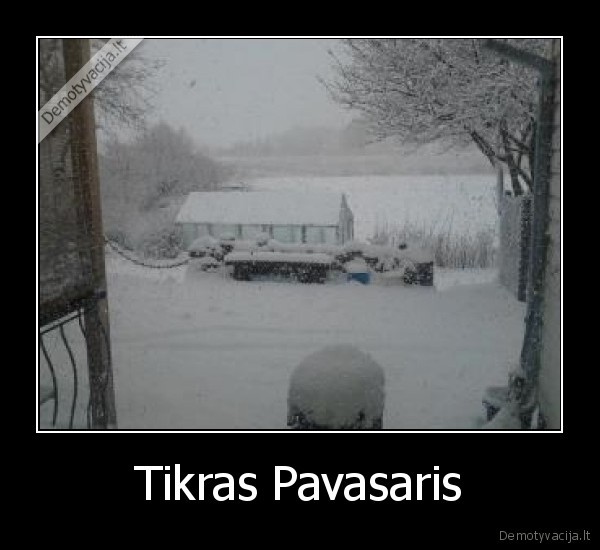 Tikras Pavasaris