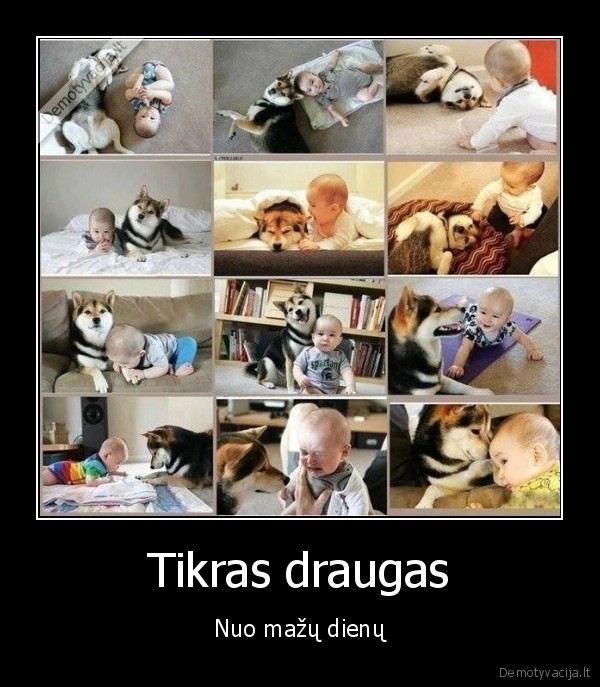 draugyste,kudikis,suo