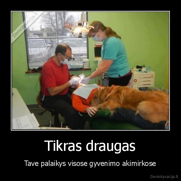Tikras draugas
