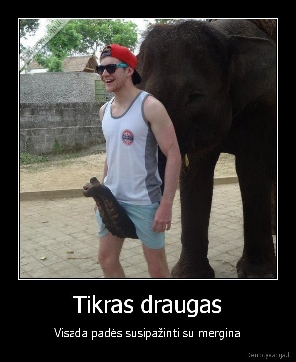 Tikras draugas