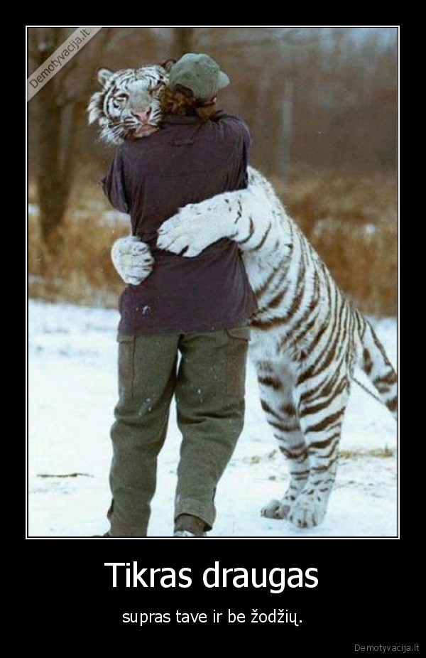 draugas,tikras,zodis,gyvunai,supras