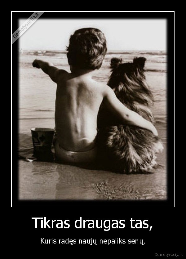 draugai, gyvenimas, kubilizmas