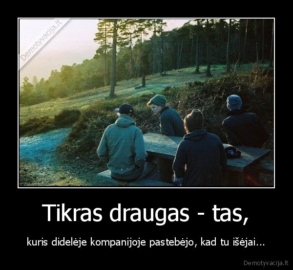 draugas,kompanija,tikras, draugas,pastabejo