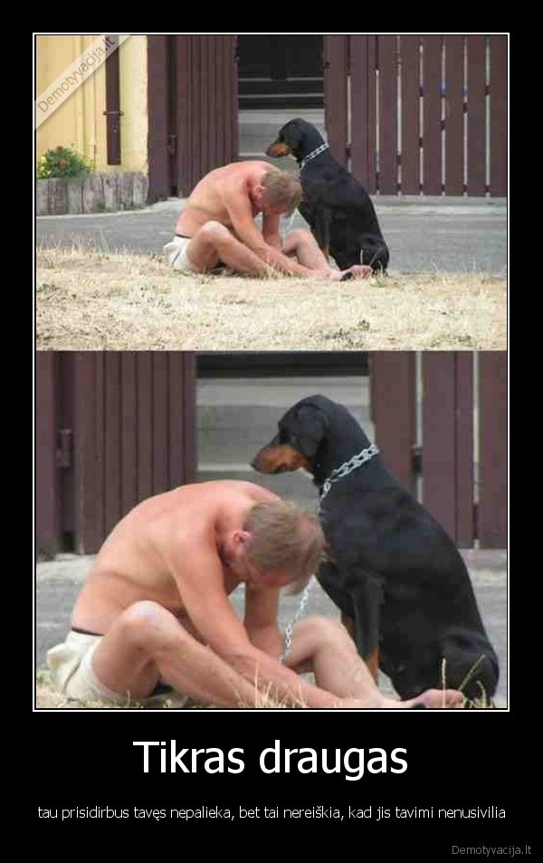 draugai,draugas,suo,girtas, vyras