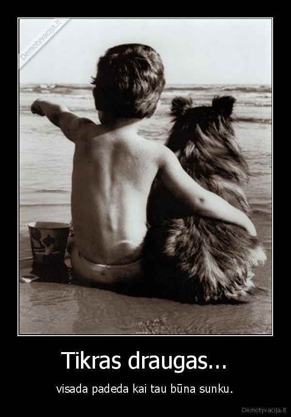 Tikras draugas...