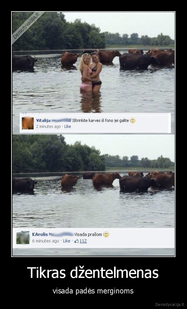 karves,photshop,fonas