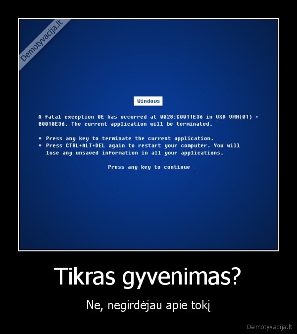 gyvenimas,internetas,kompiuteriai