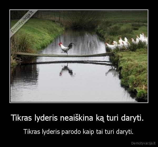 Tikras lyderis neaiškina ką turi daryti. 