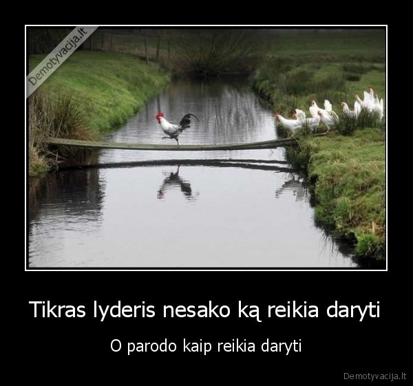 lyderis,gaidys,vistos,ismintis