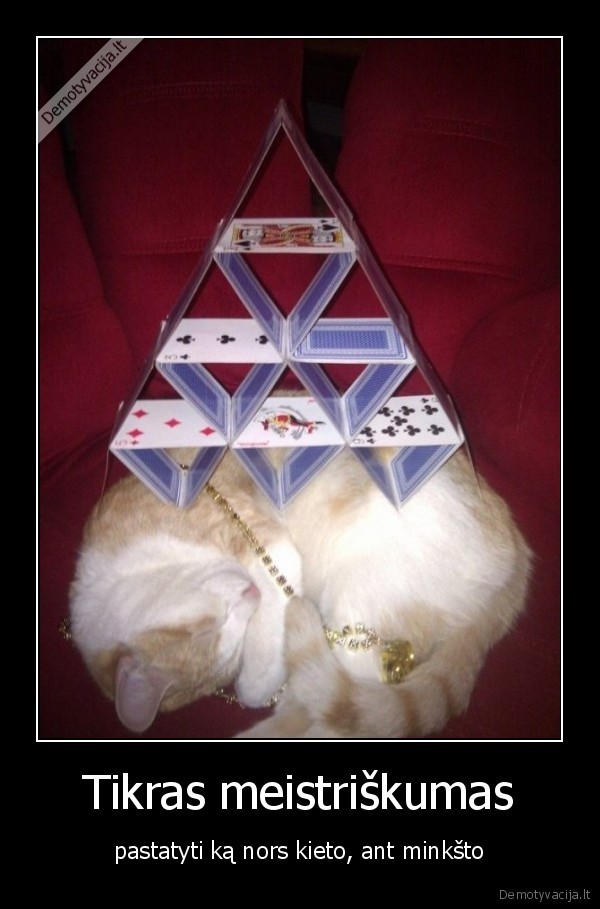 Tikras meistriškumas