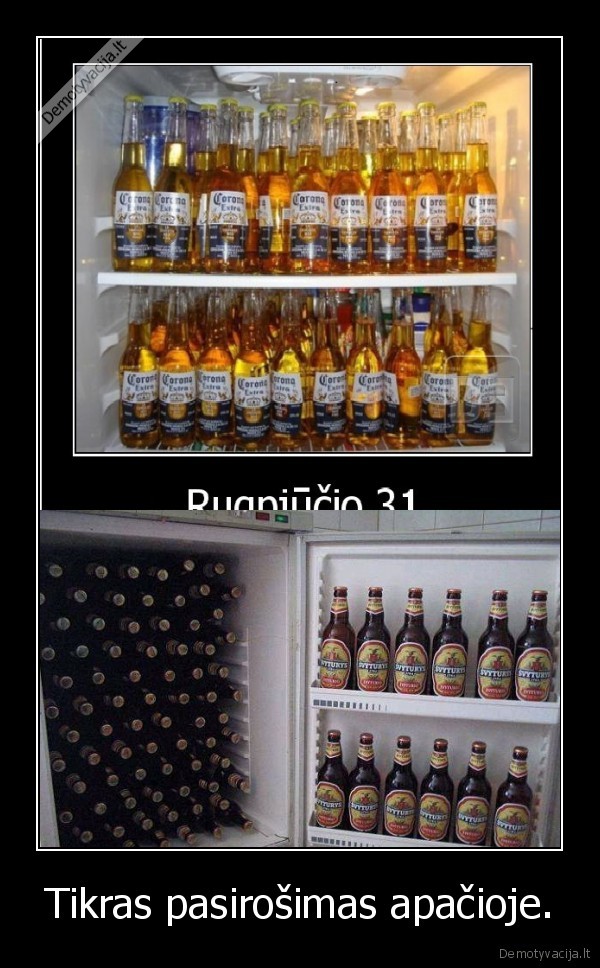 alus, alus, alus, alus, alus, alus, alus, alus, alus, alus, alus, alus, alus, alus, alus, alus