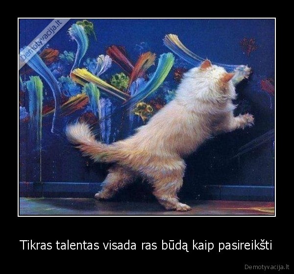 talentas,katinas