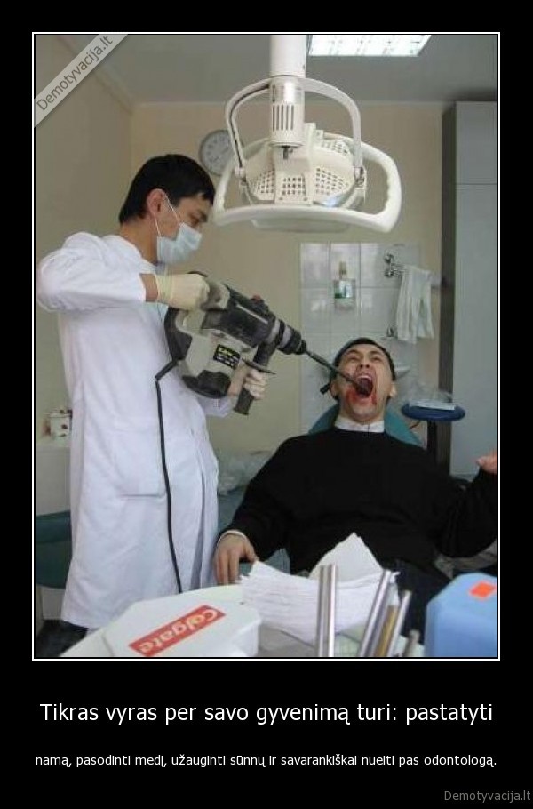 Tikras vyras per savo gyvenimą turi: pastatyti