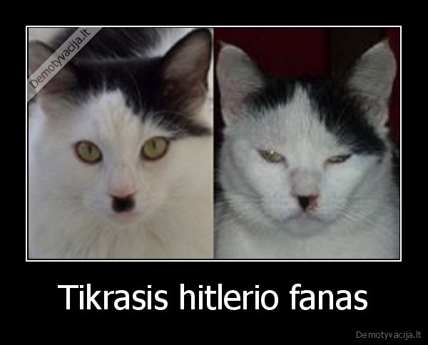 Tikrasis hitlerio fanas